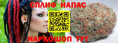бошки Бердск