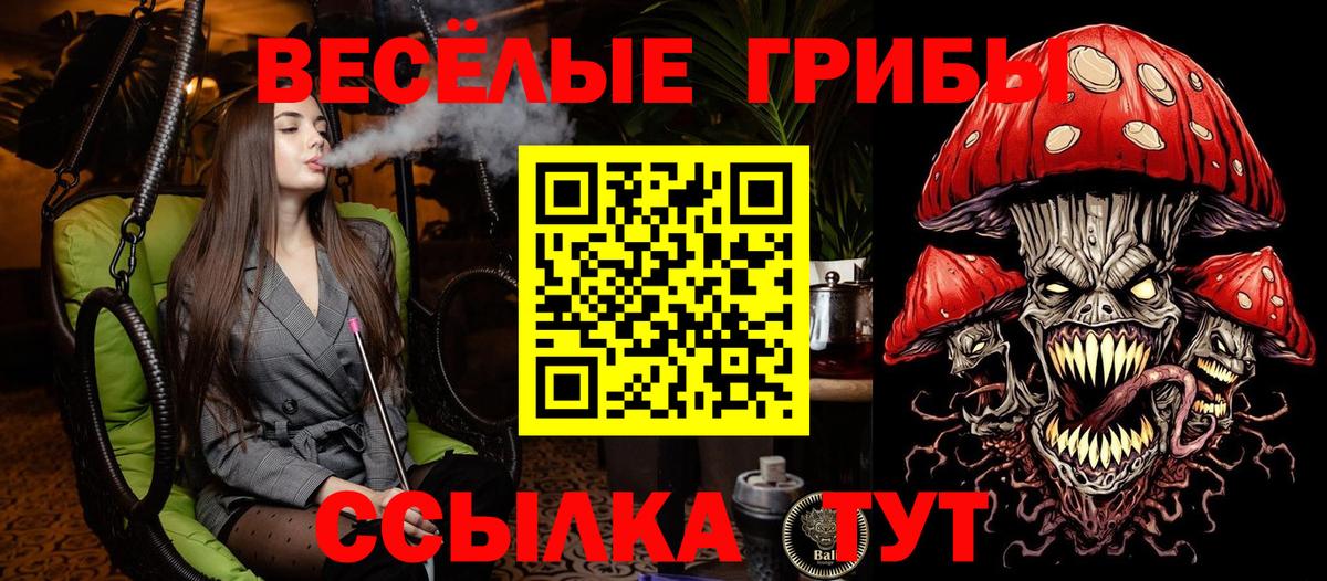 сколько стоит  Вход с VPN  Братск  Псилоцибиновые грибы ЛСД 